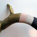 Gold, Peach and Purple Striped Deer Antler