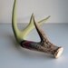 Green, Purple, Gold & Fuchsia Painted Chevron Antler - Large