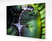 Neon 8x12 fine art photo on eco bamboo, modern home decor, fun color, beach, island