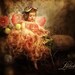 Enchanted Fairy Ware Peaches and Cream Fairy Dress and Halo set
