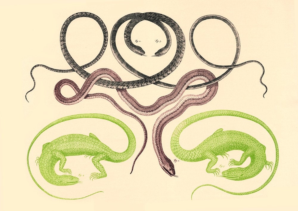 Reptilia Screen Print, Limited Edition