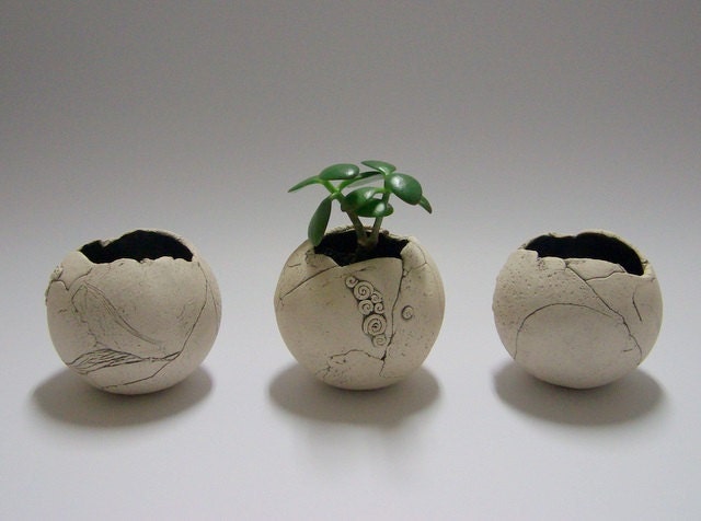 Set of  three sphere succulent and cactus planters - dia 3.5"