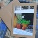 Photo Note Card, Pretty Open Window, Blank Inside with Sticker Embellishment