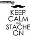 Keep Calm and Stache On - Vinyl Wall Art - FREE Shipping - Mustache Wall Decal