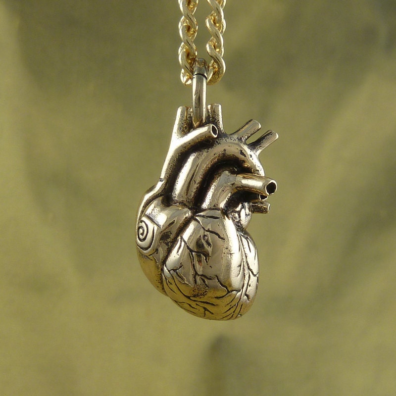 Anatomical Heart Necklace - Bronze Anatomical Heart Pendant on 24" Gold Plated Chain