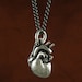 Anatomical Heart Necklace Antique Silver Anatomical Heart on 32" Gunmetal Chain