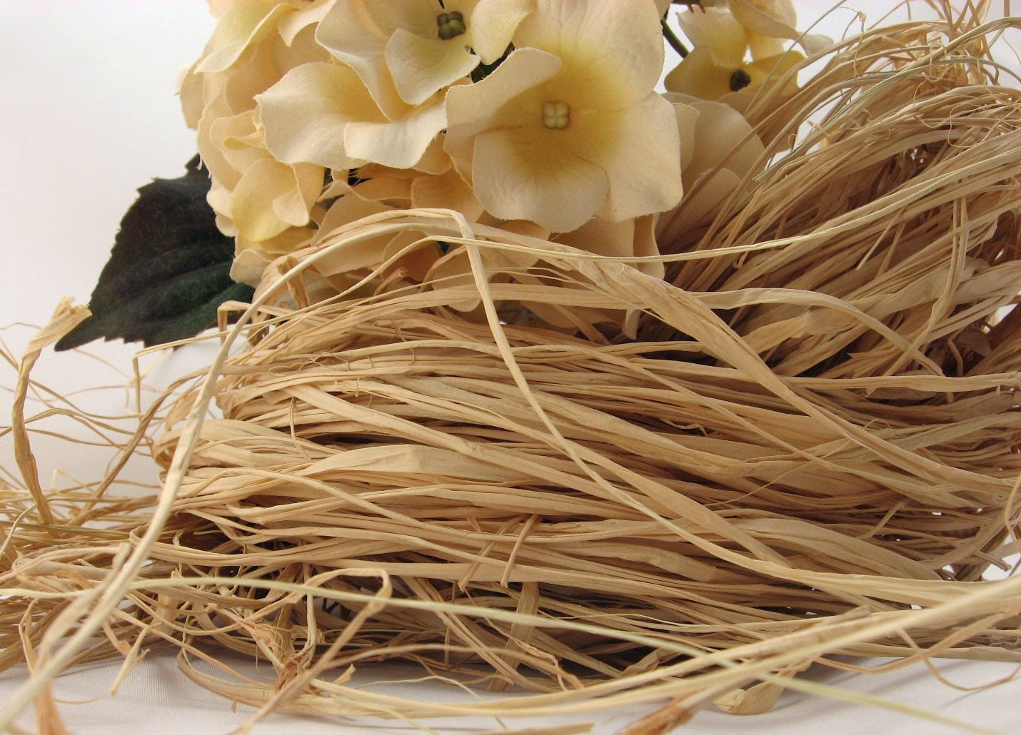 All Natural Raffia from the palms of Madagascar - ThoughtfulGemsCrafts