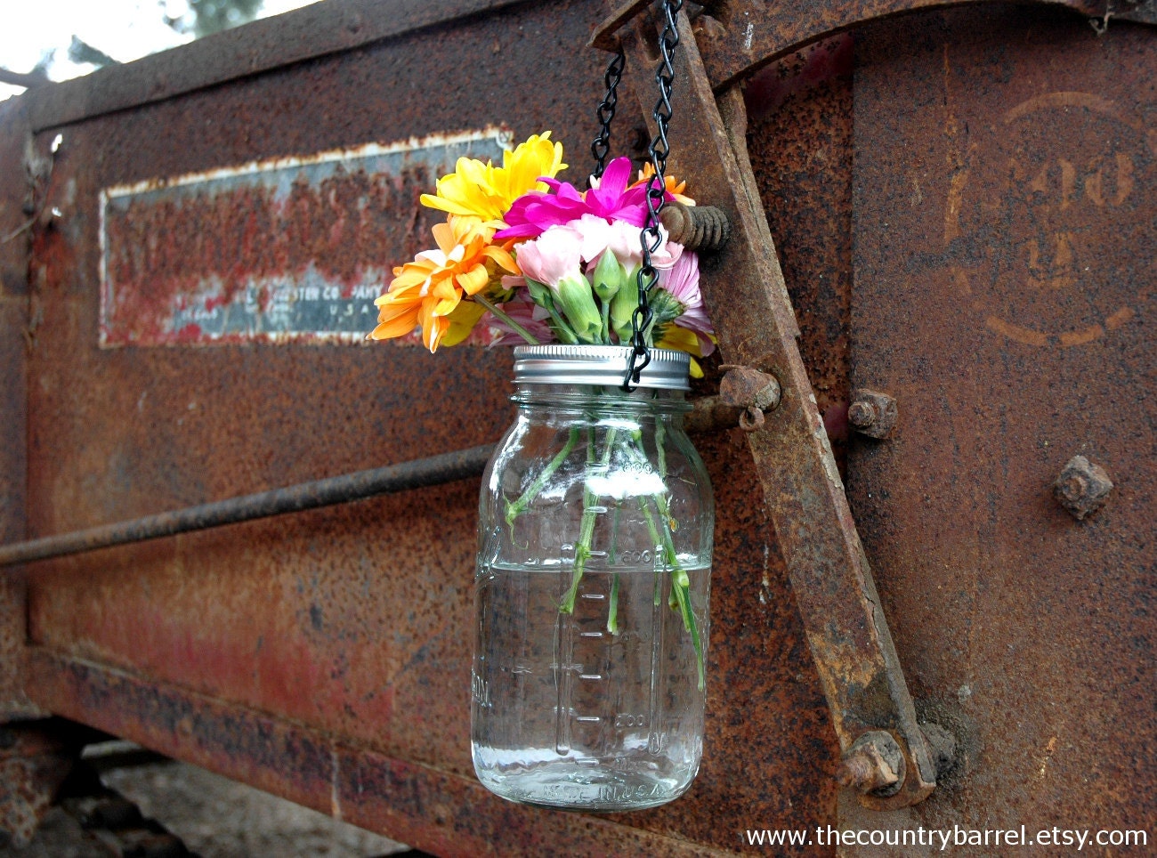 Hanging Mason Jar Flower Vase With Frog Lid
