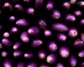 Chinese Eggplants