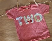Birthday Shirt Winnie the Pooh Organic Blend Birthday Tee for Boys or Girls