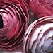 The Ranunculus Paper Flower Bouquet