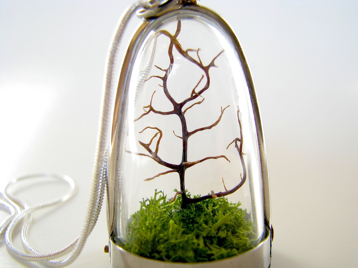 Free US Shipping: Modern Tree and Moss Terrarium Necklace