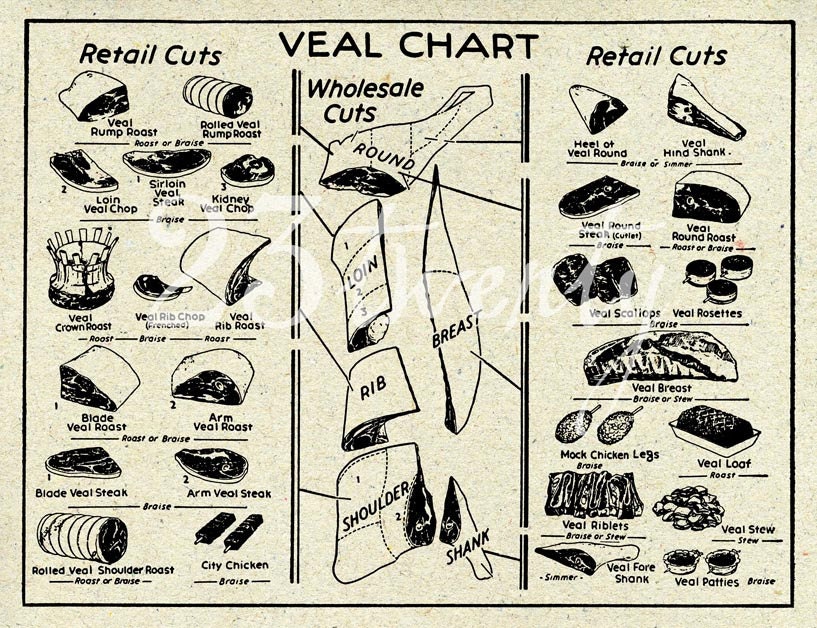 Vintage veal butcher chart, meat illustration 18x24