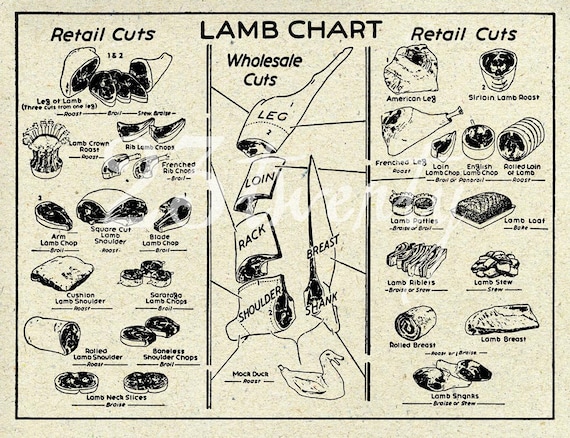 Lamb Butchering Chart