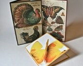 Notebook Jotters with Recycled Natural History and Nature Calendar Covers for Writing Journaling Sketching