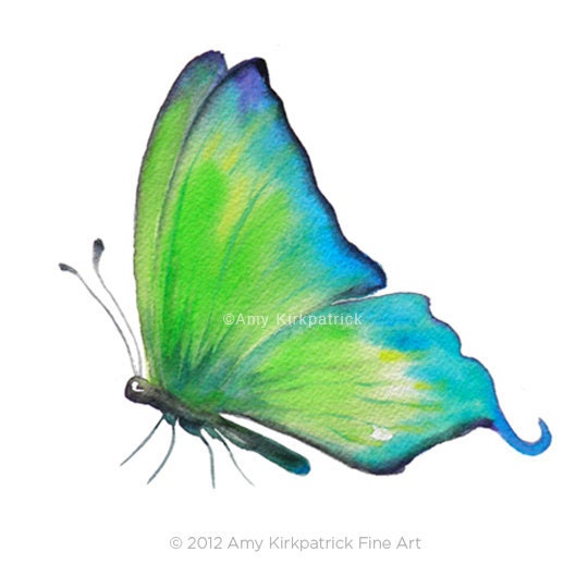 No.4 Skip Green Butterfly, 8x10 Signed Fine Art Print of Amy Kirkpatrick watercolor - AmyKFineArt