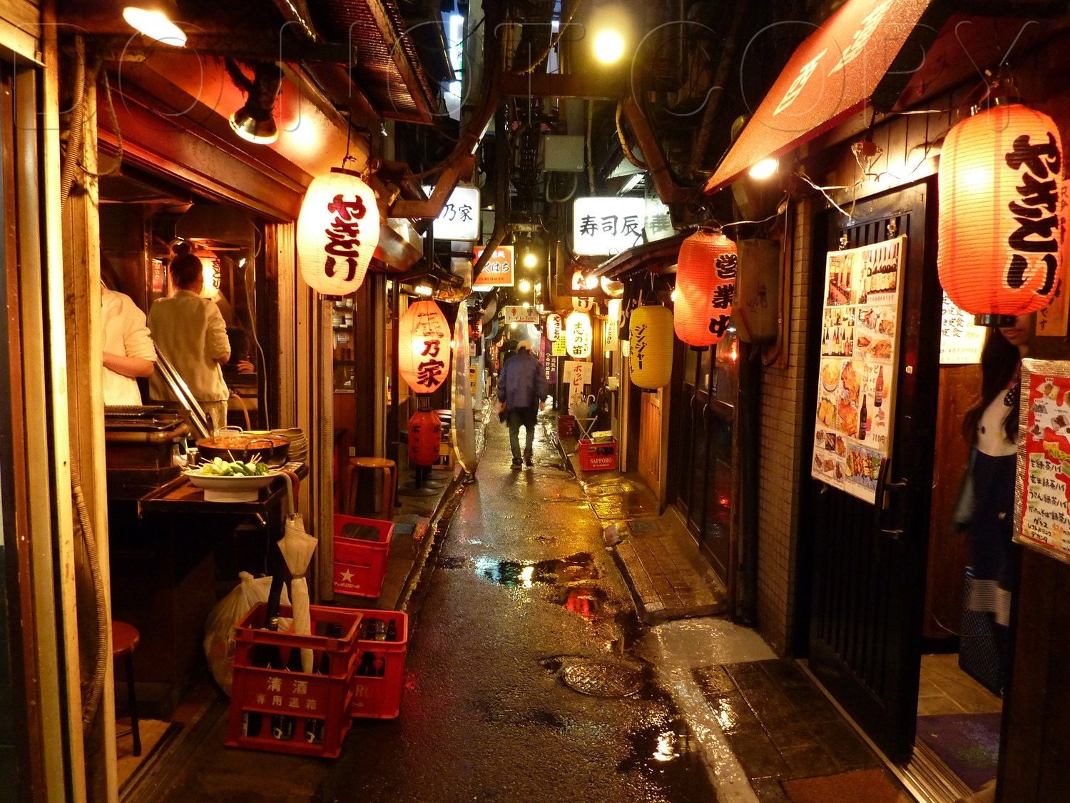 Tokyo Street Food