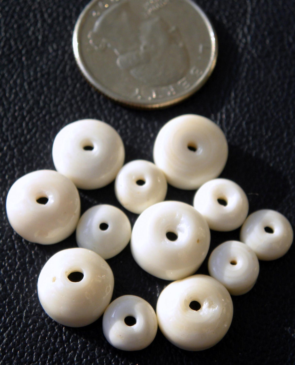 Hawaiian Puka Shells, jewelry making supplies, 25 med/large shells, 6-10mm