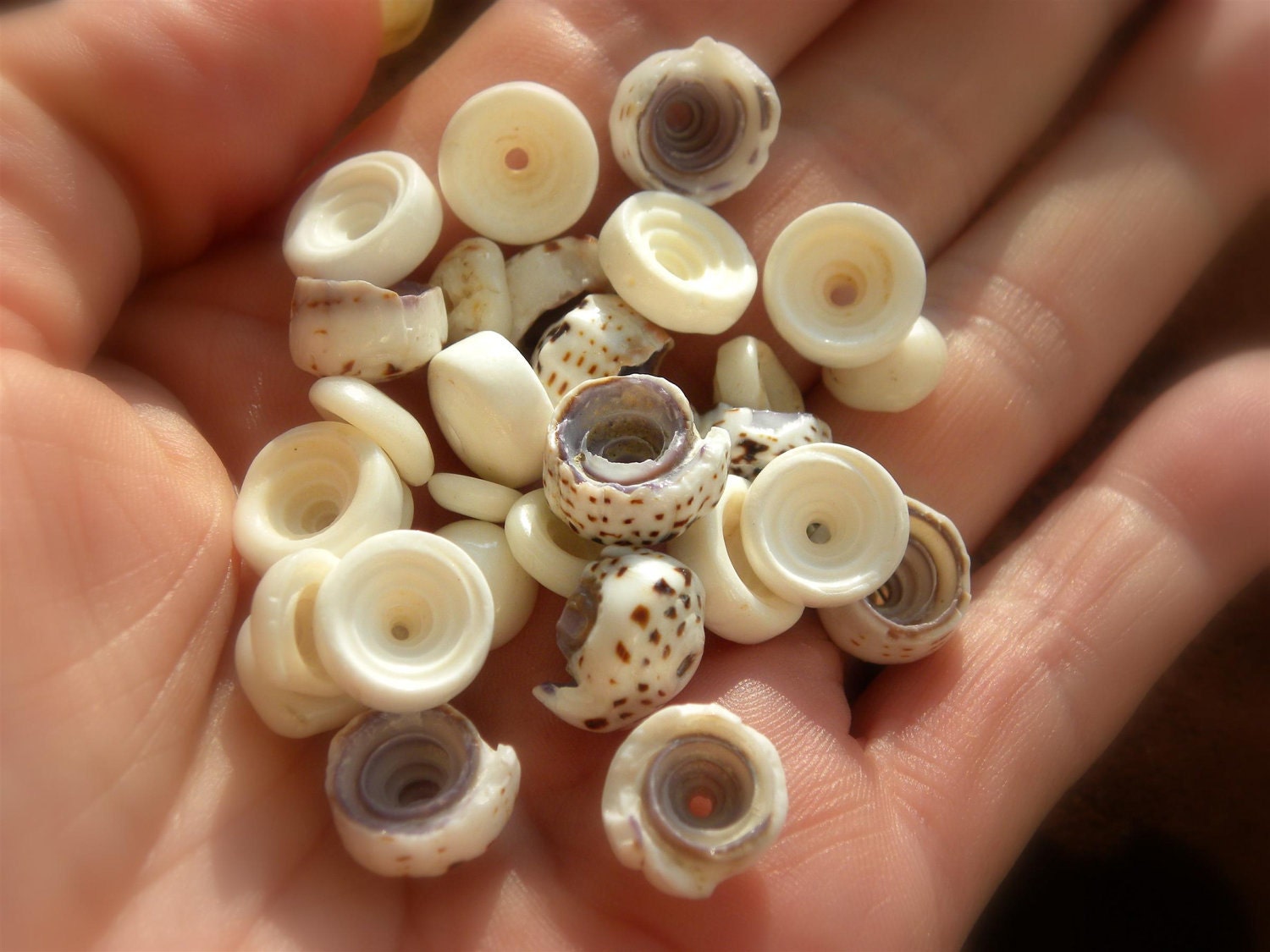 Hawaiian Puka shells, 30 shells mixed 8-10mm