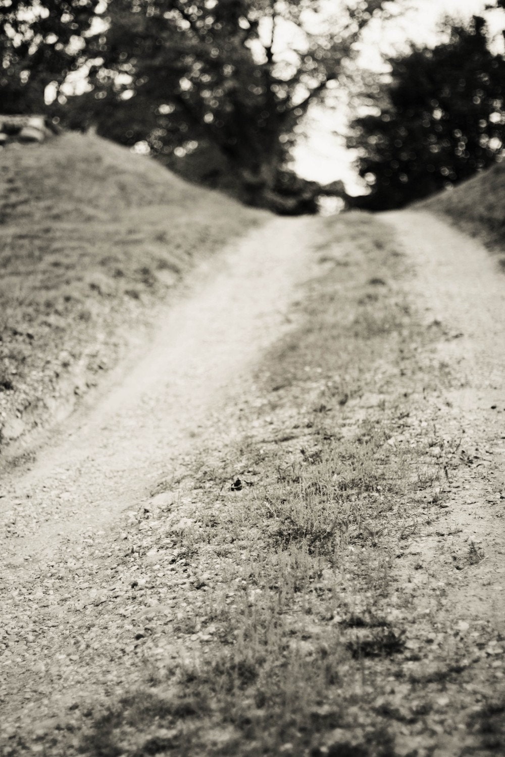 The Road - Fine Art Photography, black and white, dirt road, landscape, moody