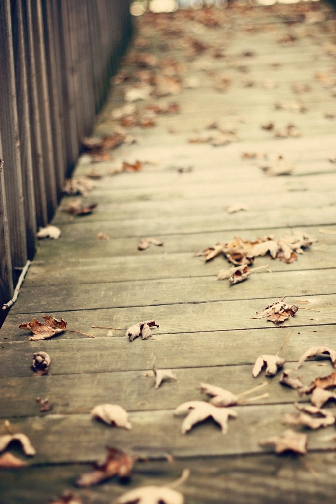 Autumn Walk - Fine Art Photography, fall, leaves, warm tones