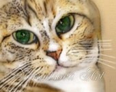 Cat with Green eyes. Kosh. digital  illustration. Download and print