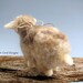 Needle Felted Wooly Sheep - Felted Animal Sculpture
