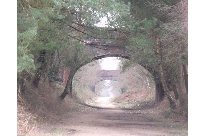 Portal, Photography Print, Surreal Dreamy Whimsical Nature Enviromental Art Spring - TheAcornCabinet