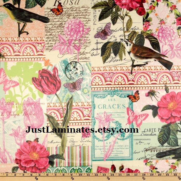 Belle Rose LAMINATED fabric (aka oilcloth, slicker, coated) yard yardage BPA free