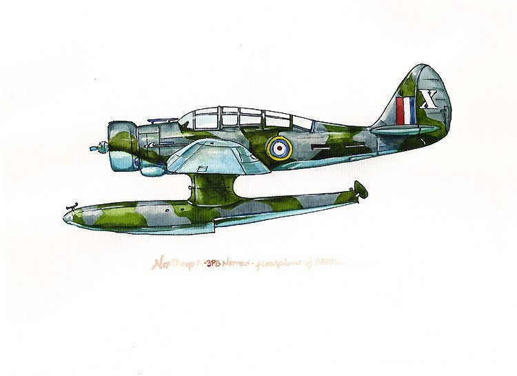 Northrop N-3P3 Nomad vintage airplane watercolor print 8x10