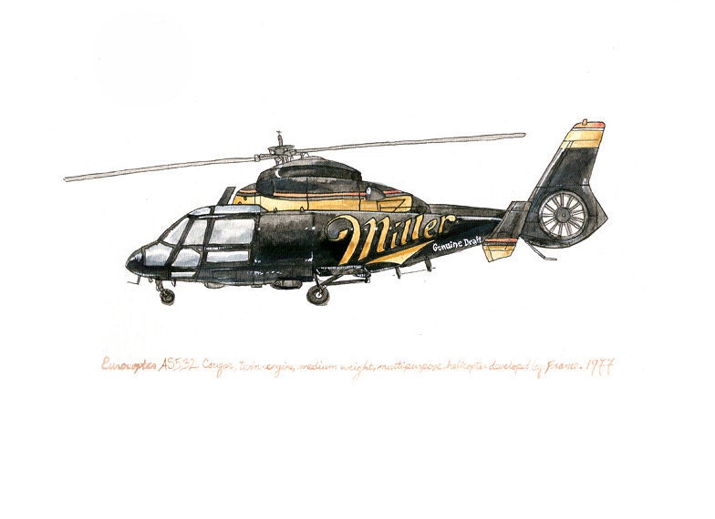 Miller Europter Cougar, collectable watercolor print, 8x10"
