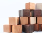 24-piece organic wood blocks - natural wooden toys, safe and eco-friendly hardwood building block sets for baby,  toddler, preschooler