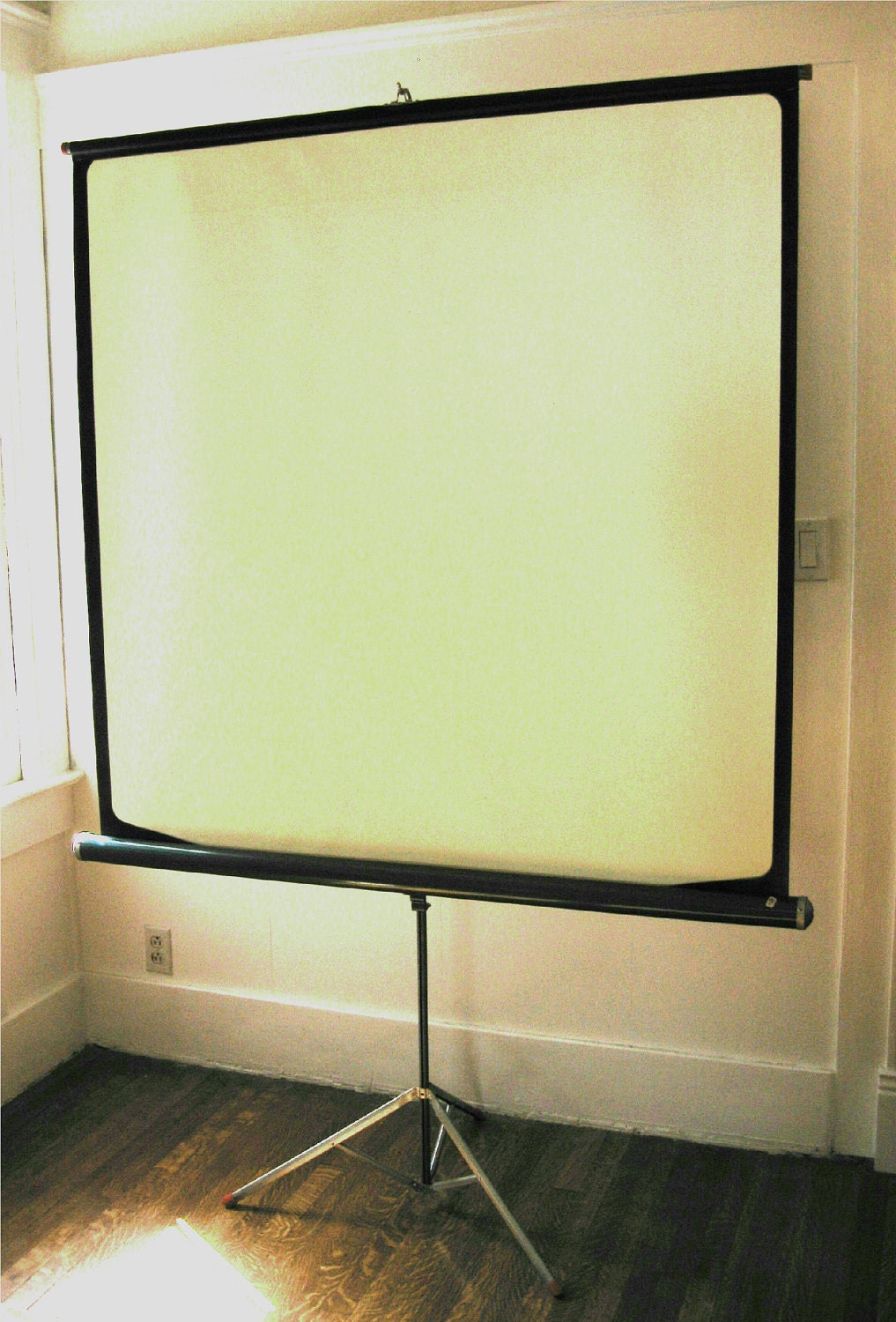 Vintage Projector Screen