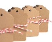 Kraft tags .100 blank brown paper mini tags . small gift tags . 1.25 by 1.75 . die cut . kraft brown paper . eco friendly . natural