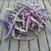 Organic Purple Podded Pole Bean