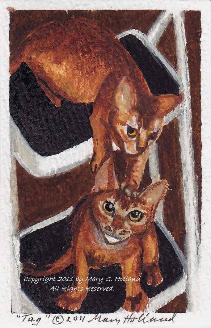 Tag by Mary Holland, ACEO Archival Giclee Print Watercolor Miniature Painting Fine Artwork Red Abyssinian Cats Feline Cute Animals Pets Rust Tan Yellows Browns White Cream Collector Gift