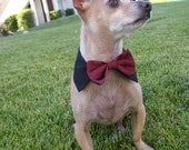 Custom Satin Interchangeable Dog Bow Tie & Collar Set