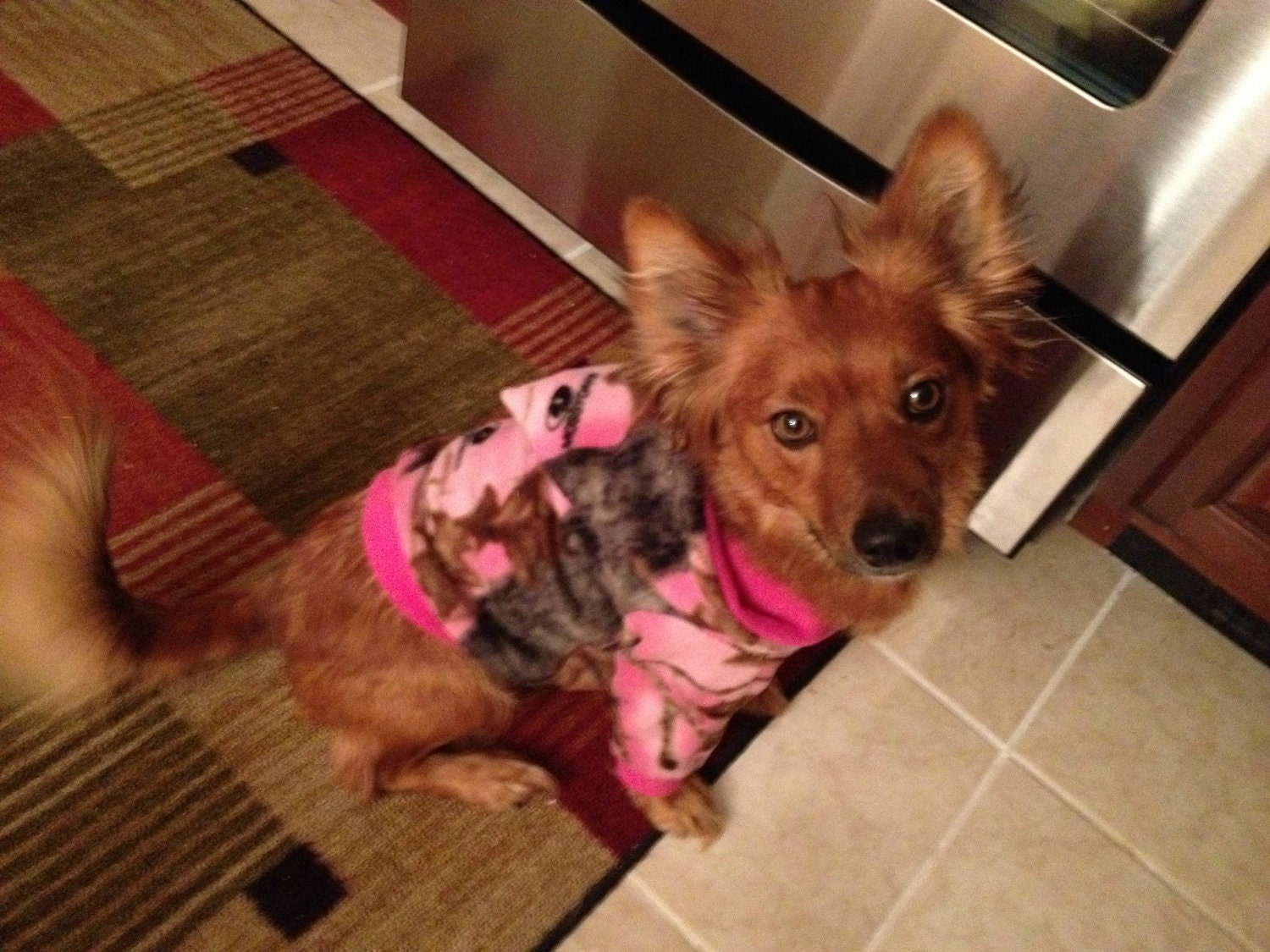 Pink Mossy Oak Camouflage Dog Hoodie