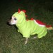 Yoshi Nintendo Dog Costume Cosplay