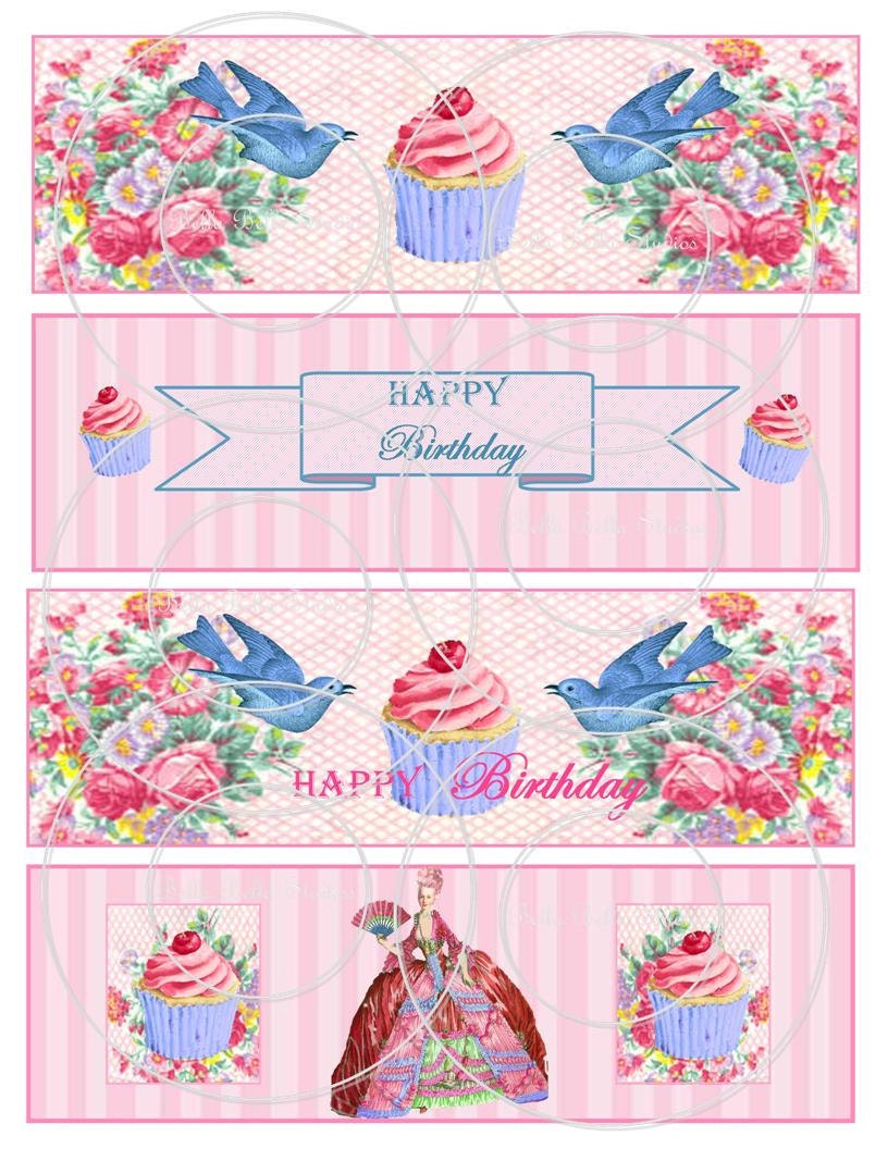 Marie Antoinette Let Them Eat Cake Water Bottle Labels Digital Download Il_570xn