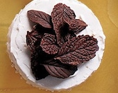 So Fresh - Mint Chocolate Cupcakes