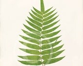 Antique Fern Art Print - 8x10 - Polypodium Albo-Punctatum