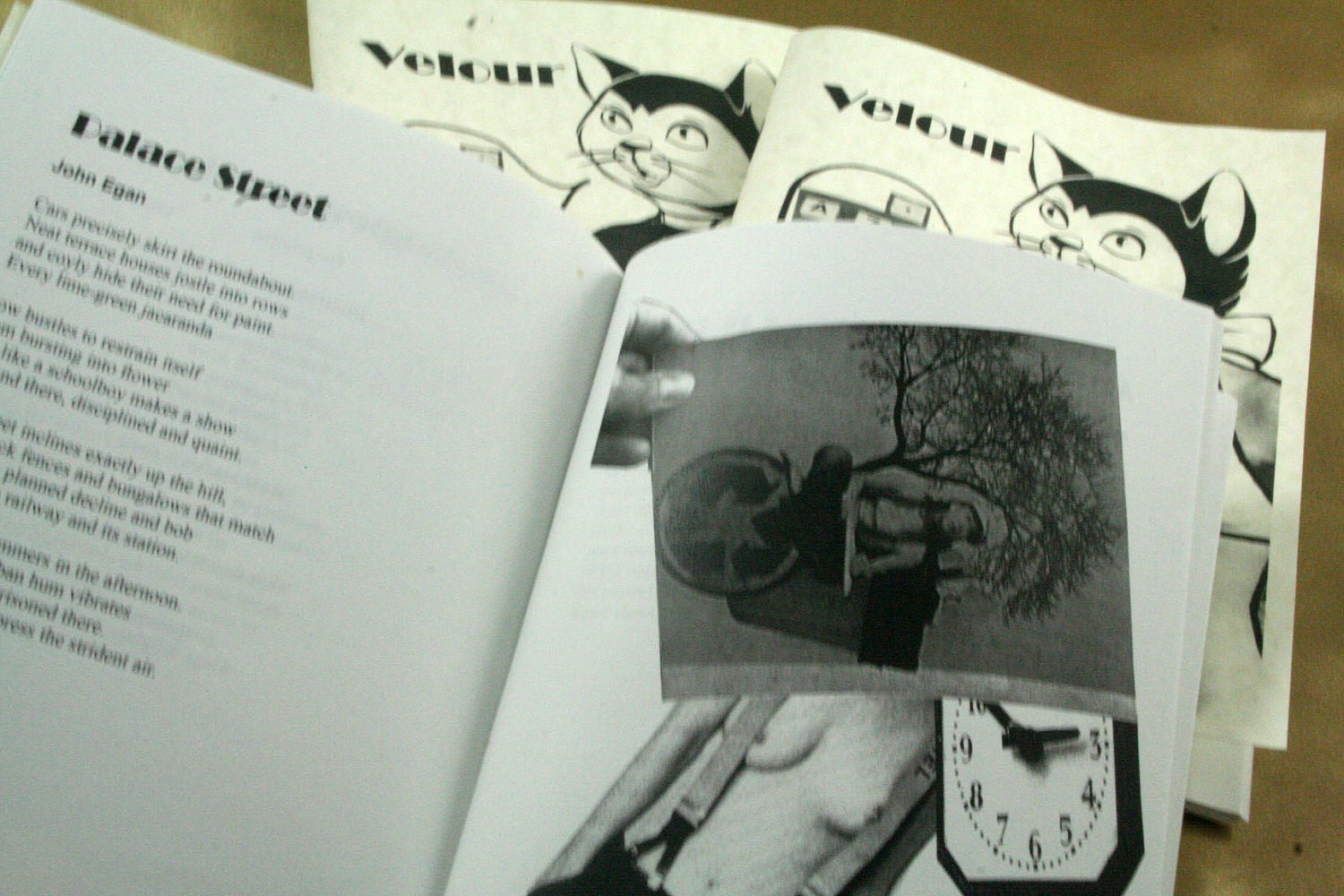 Velour Poetry Magazine