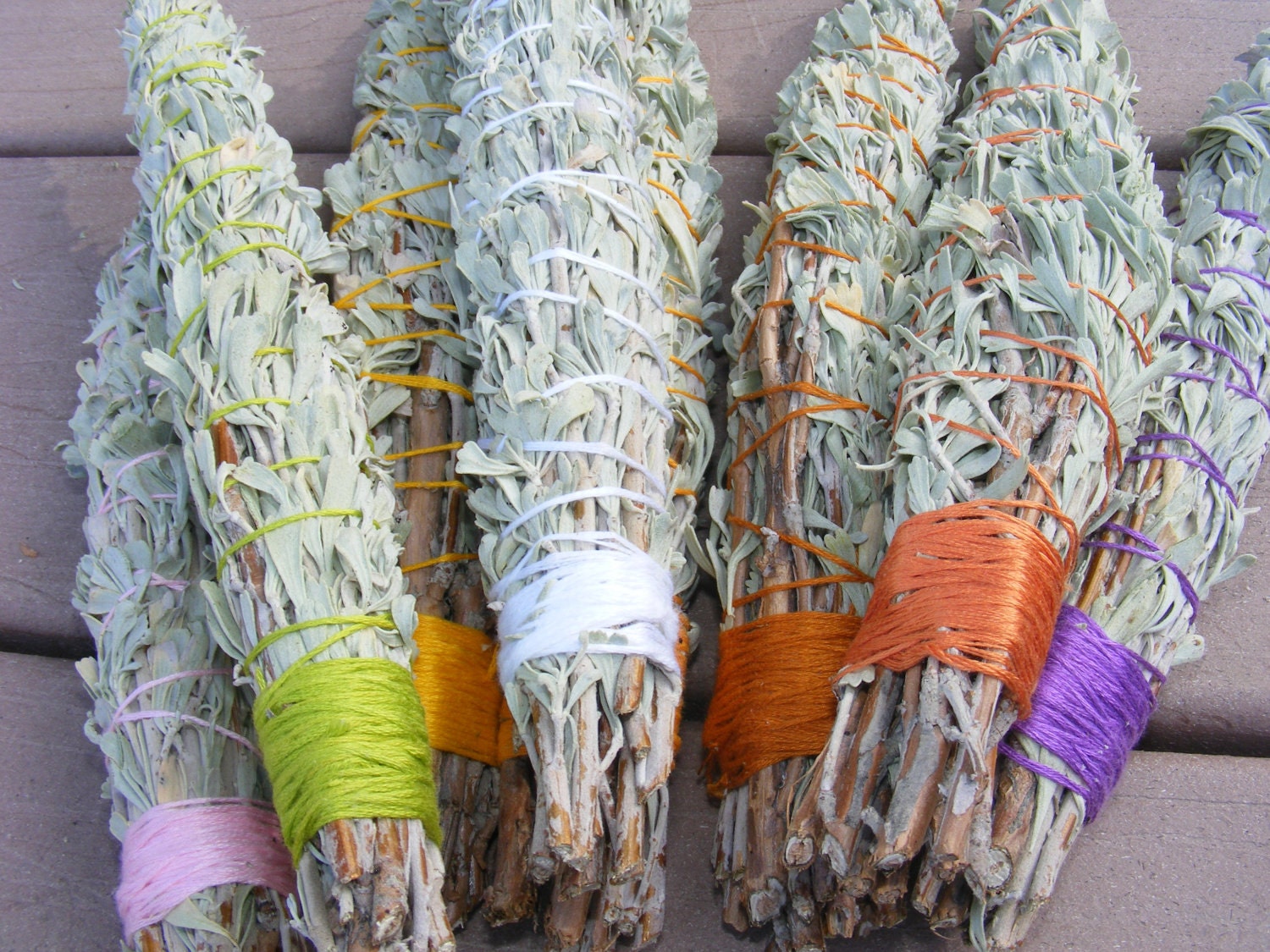 Fresh Western Sage Smudge Sticks