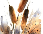 Cattails Watercolor Painting, Fine Art Print of 'Sunlit Cattails' 8x10 Nature Landscape by Vickie Sue Cheek