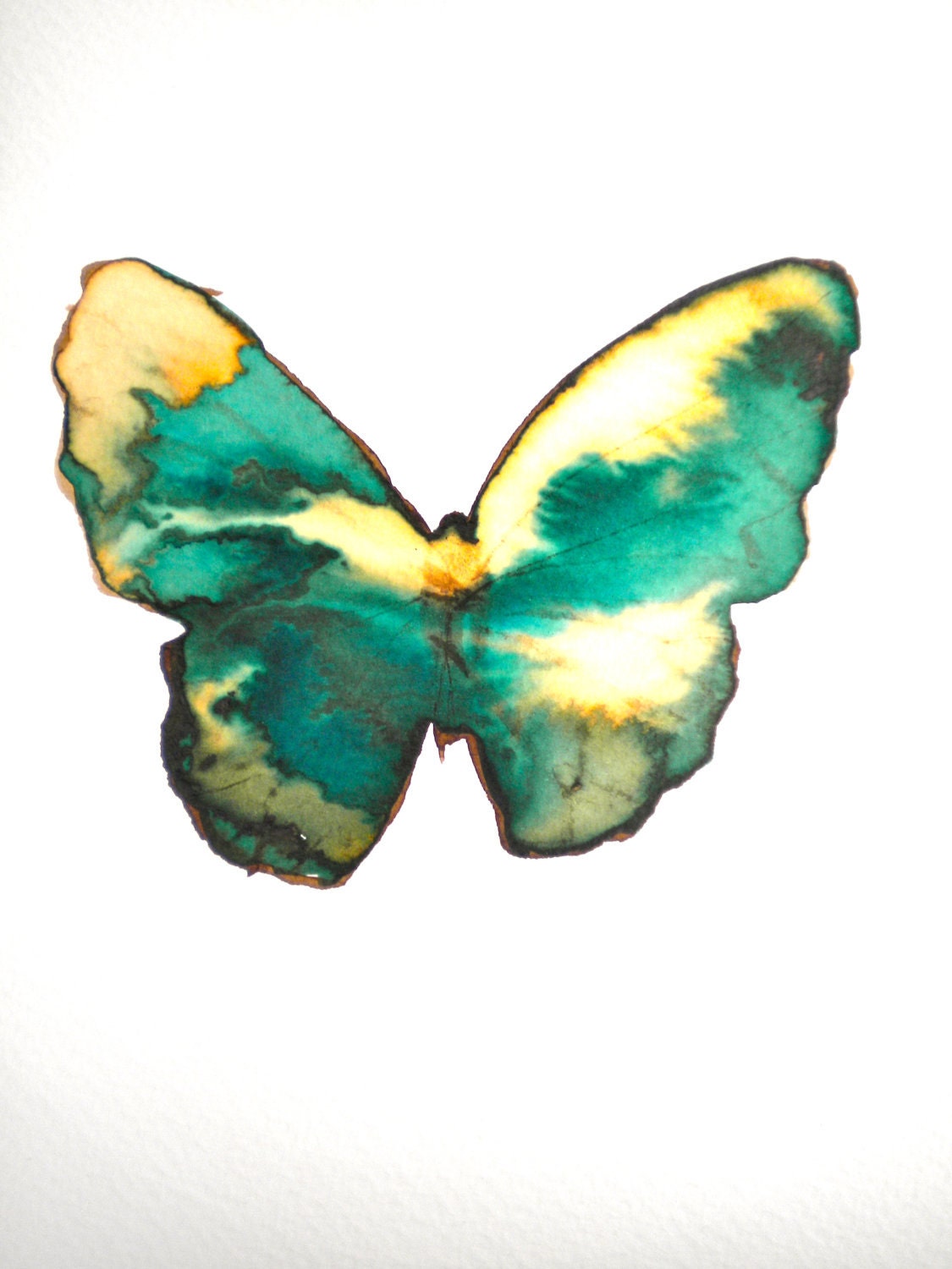 green and gold flecked butterfly - metamorphosing