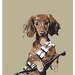 Star Wars Print Poster Movie poster star wars illustration Chewbacca Dachshund Dog art Size B