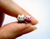 Tiny owl couple in love