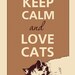 Keep calm and love cat