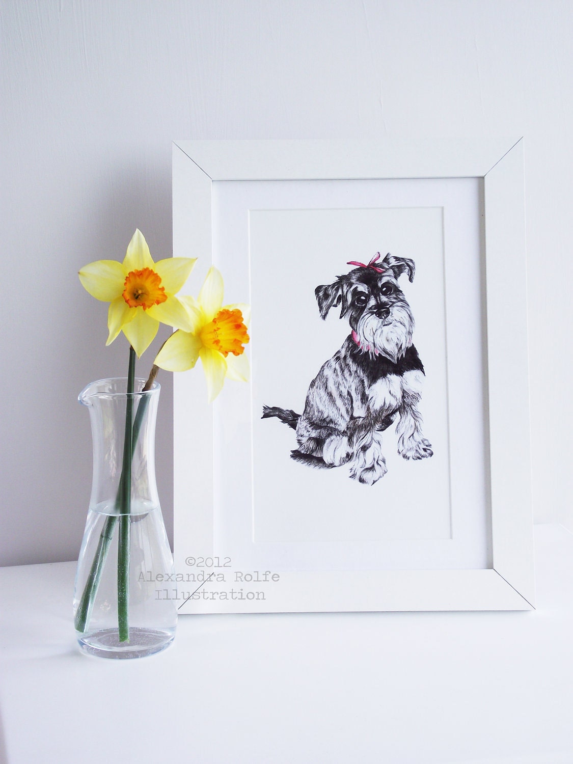 Dog, Miniature schnauzer illustration 8 x 11 wall art print